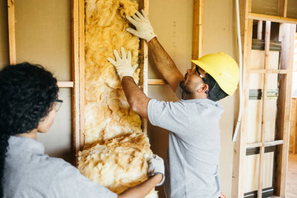 Best Eco-Friendly or Green Insulation Solutions  in Kechi, KS