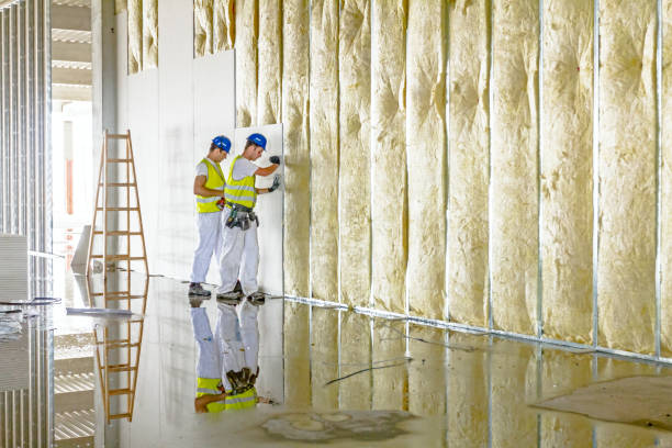 Best Radiant Barrier Insulation  in Kechi, KS